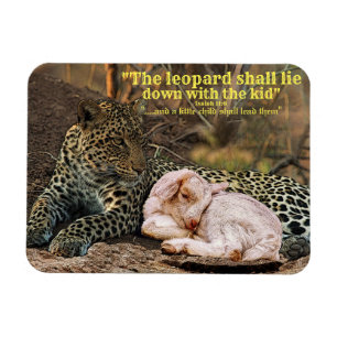 Der Leopard legt sich mit dem LammJesaja 11 hin Magnet