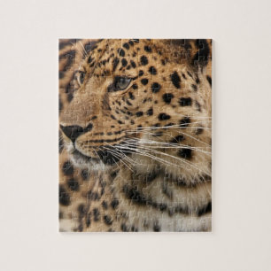 Der Leopard Puzzle
