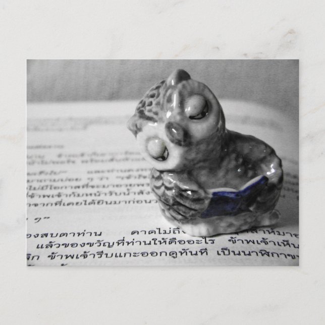 Der Leser Postkarte (Vorderseite)