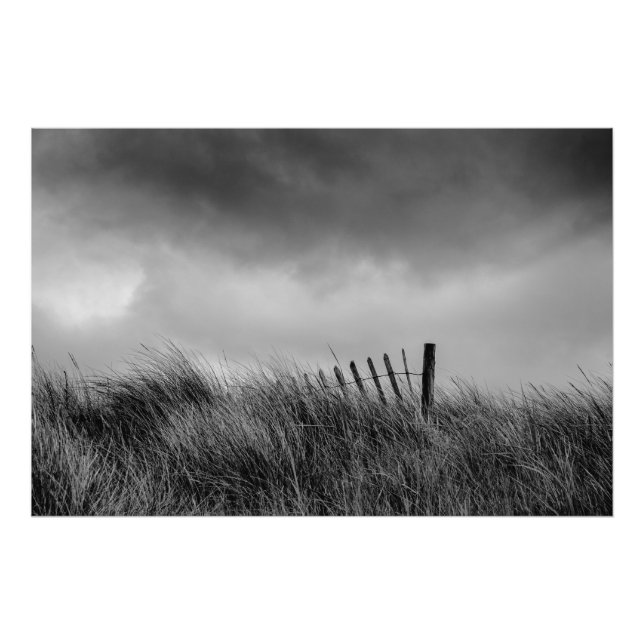 Der letzte Beitrag Fotodruck (Vorne)