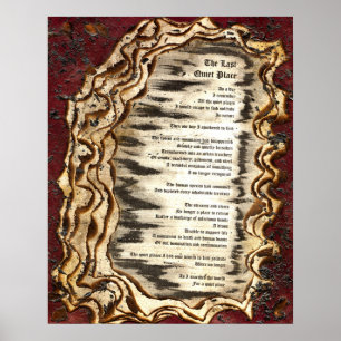 Der letzte ruhige Ort Poster