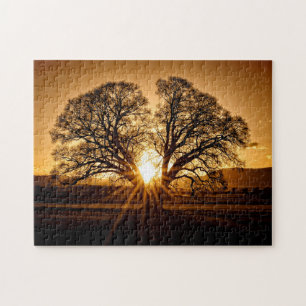 Der letzte Sonnenuntergang - 11x14 - 252 Stk. Puzzle