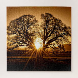Der letzte Sonnenuntergang - 20x20 - 676 Stk. Puzzle