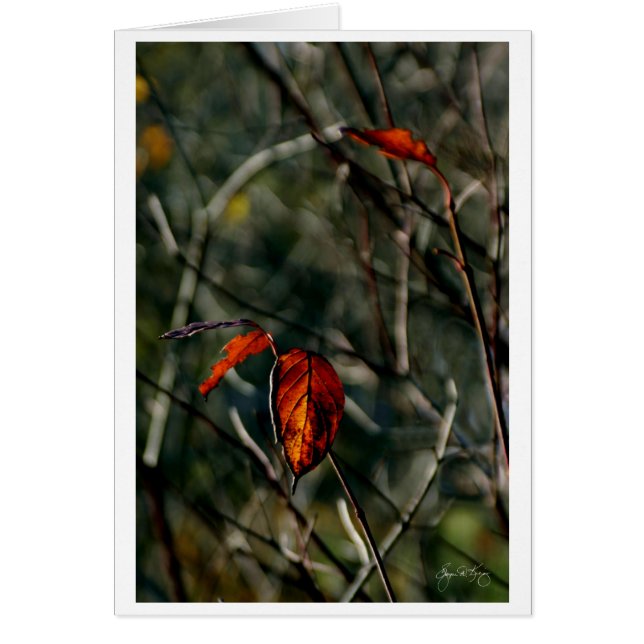 Der letzte Tanz des Herbstes (Vorne)