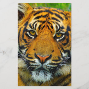 Der letzte TIger Briefpapier