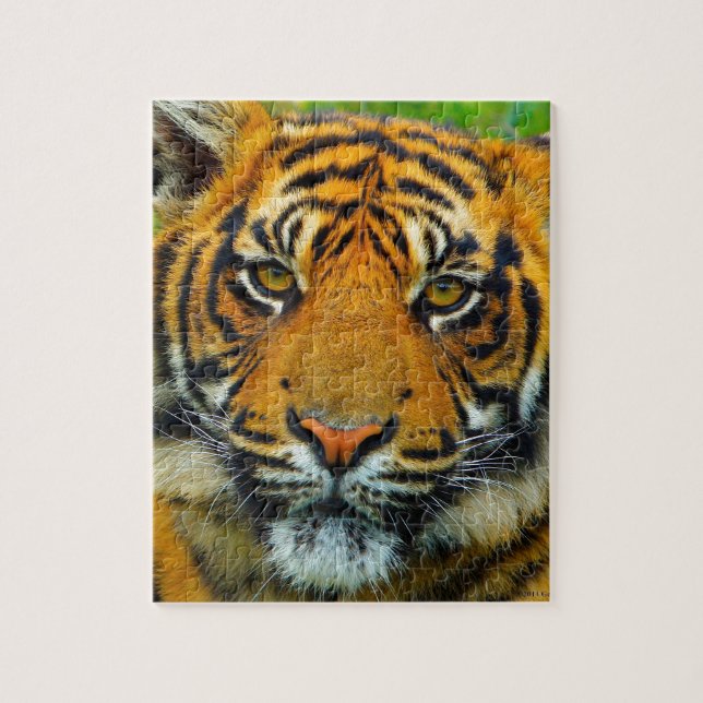 Der letzte TIger Puzzle (Vertikal)