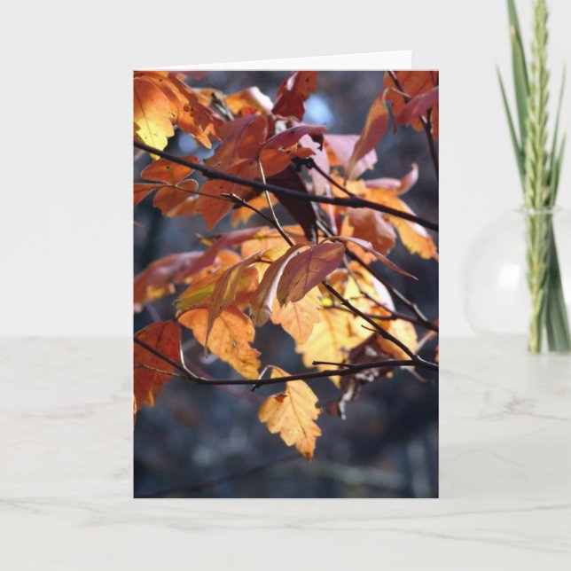 Der Lichtschacht durch gelassen Karte (Vorderseite)