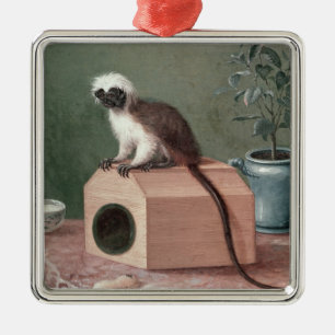 Der Lieblingsaffe von Karl Linnaeus Silbernes Ornament