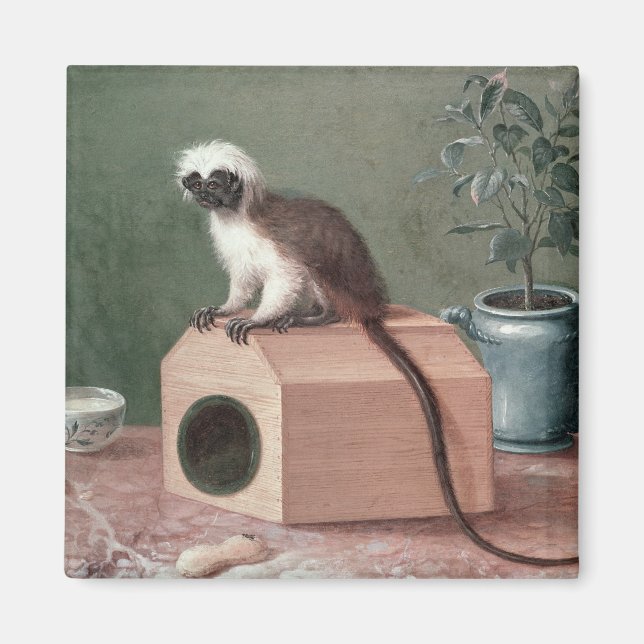 Der Lieblingsmonkey von Carl Linnaeus Magnet (Vorne)