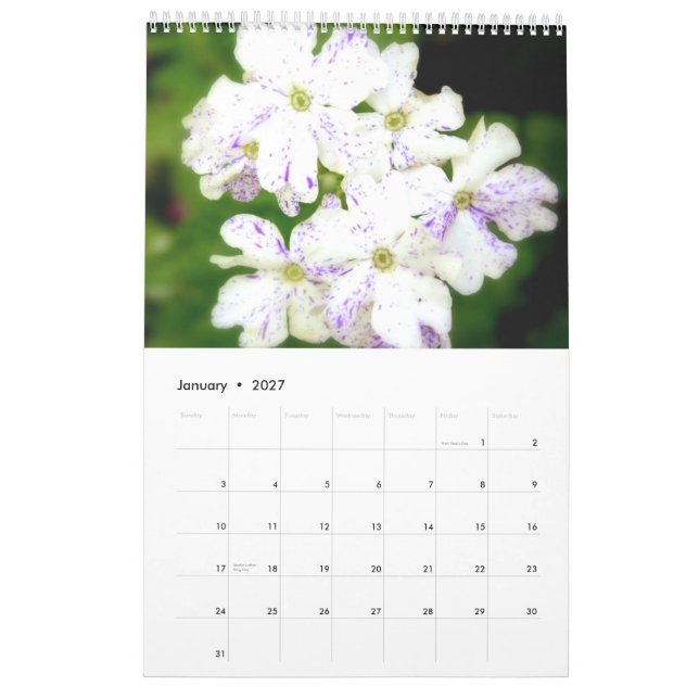 Der lila Garten 2013 Kalender (Jan 2027)