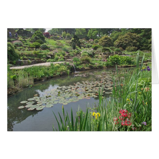 Der Lily Pond bei RHS Wisley (Vorderseite (Horizontal))
