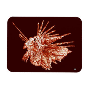 Der Lionfish Magnet