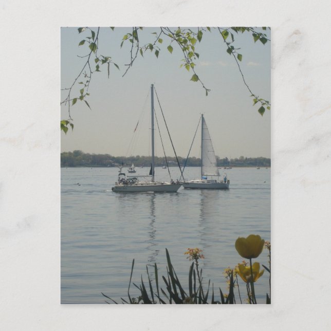 Der Long-Island-Sund Postkarte (Vorderseite)