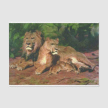 Der Löwe bei der Zuhause (mit Lioness und Löwenjun