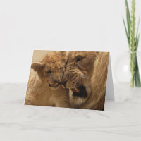 Der Löwe und die CUB-Karte