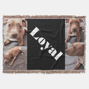 DER LOYAL PIT BULL-Wurf Decke