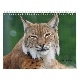 Der Luchs Kalender