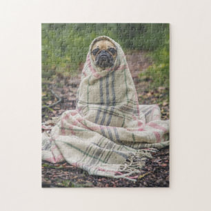 Der lustige Mops ist in Blanket gerissen Puzzle