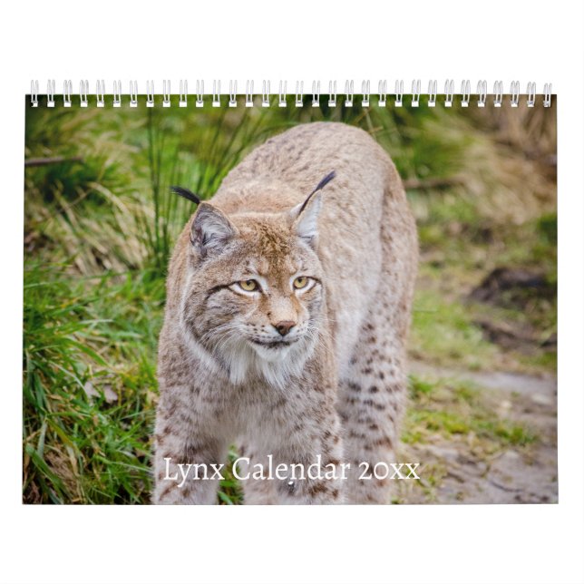 Der Lynx Wildlife-Kalender Kalender (Titelbild)