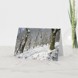 Der Macclesfield-Wald im Winter Karte