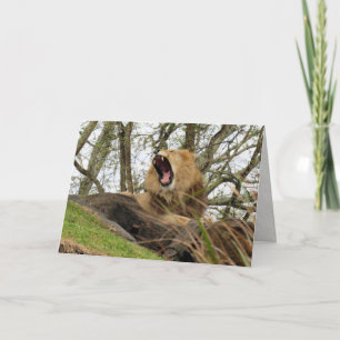 Der mächtige Löwe Karte