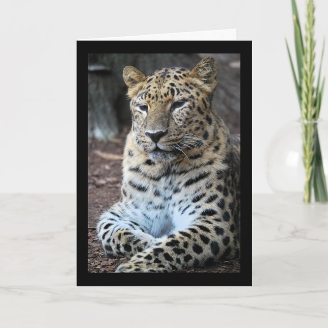 Der majestätische Leopard Karte (Vorderseite)