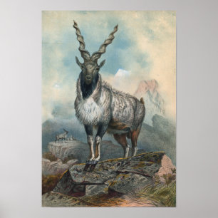 Der Markhore von Joseph Wolf Poster