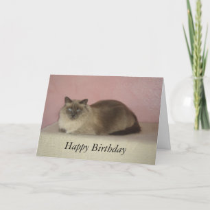 Der Meow-Geburtstag der Katze Karte