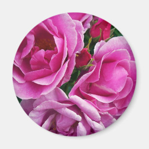 Der mitfühlende Freund Magnet