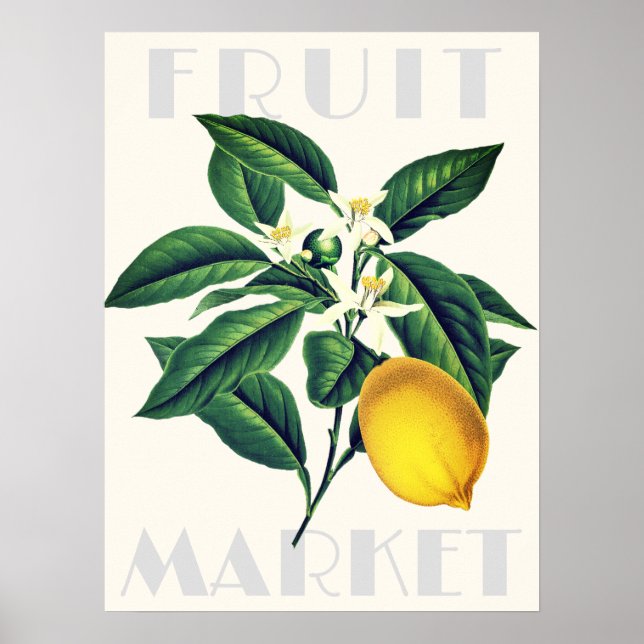 Der moderne Retro Obstmarkt Lemon Blossom Poster (Vorne)