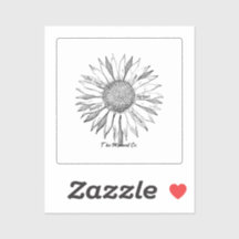 Der Moment, in dem Co.