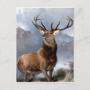 Der Monarch des Glens von Sir Edwin Landseer Postkarte
