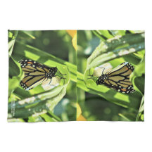 Der Monarch Emerge im Garten