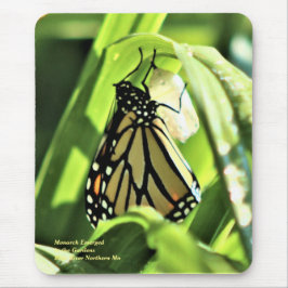 Der Monarch entstand im Garten Mousepad