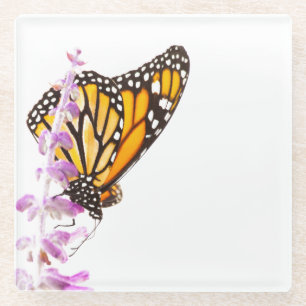 Der Monarch ist auf dem Lavendel Glasuntersetzer