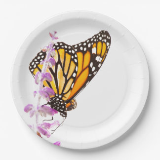 Der Monarch ist auf dem Lavendel Pappteller