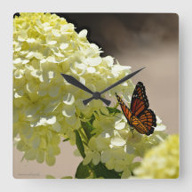 Der Monarch und die Blume