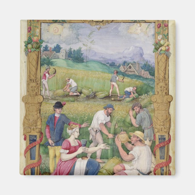 Der Monat des Augusts: Die Ernte Magnet (Vorne)