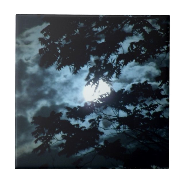 Der Mond beleuchtet die Nacht hinter Baumzweigen Fliese (Vorderseite)