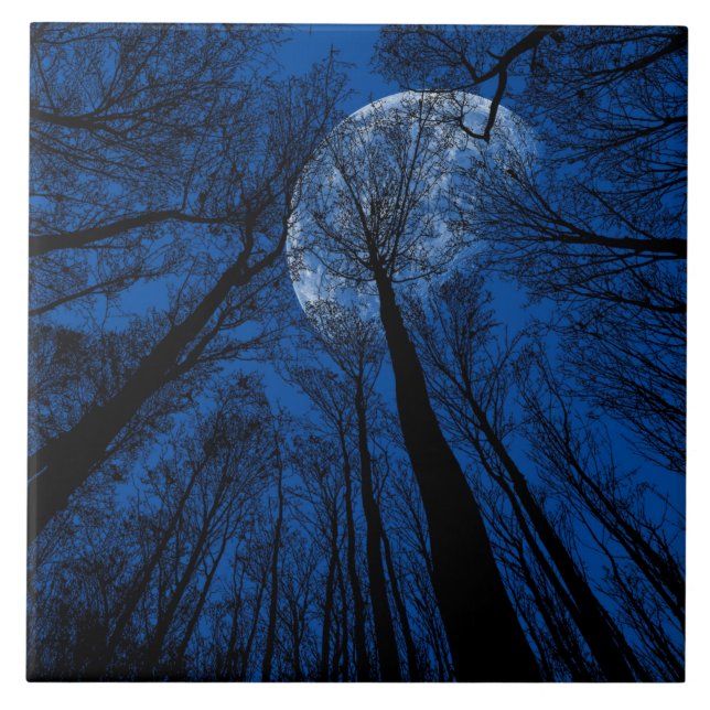 Der Mond in der nächtlichen Himmel Fliese (Vorderseite)