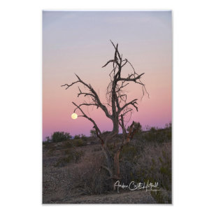 Der Mond packen Fotodruck