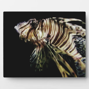 Der Mondfisch Fotoplatte