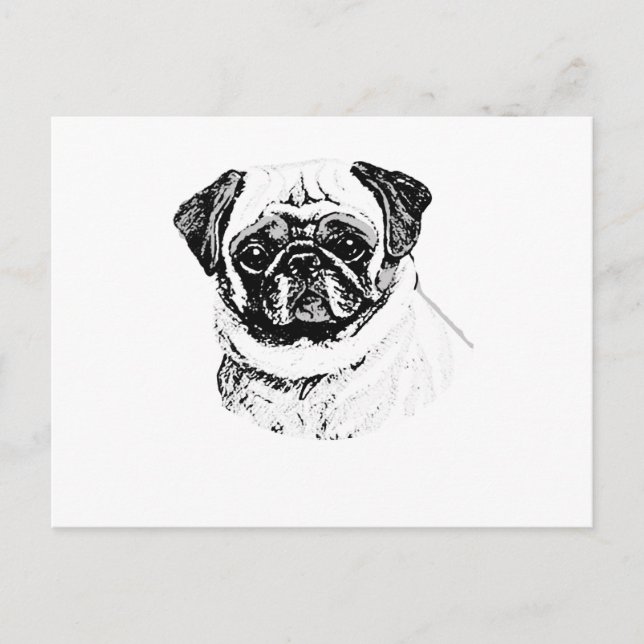 DER MOPS POSTKARTE (Vorderseite)