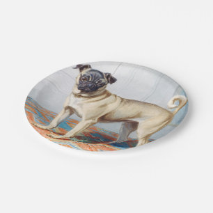 Der Mops von Conradijn Cunaeus Pappteller