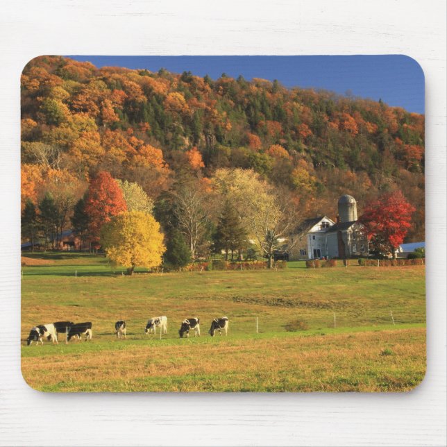 Der Mount- Holyokebauernhof im Herbst Mousepad (Vorne)