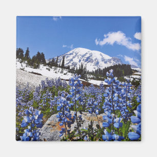 Der Mount Rainier am Paradies-Punkt Magnet