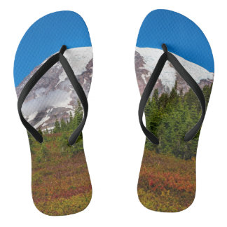 Der Mount Rainier drehen Reinfälle um Flip Flops