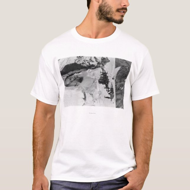 Der Mount Rainier, WA Nisqually T-Shirt (Vorderseite)