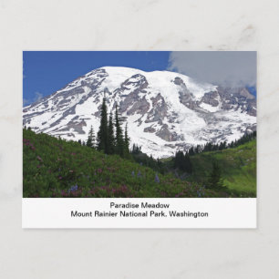 Der Mount- Rainierparadies-Wiesen-Postkarte Postkarte