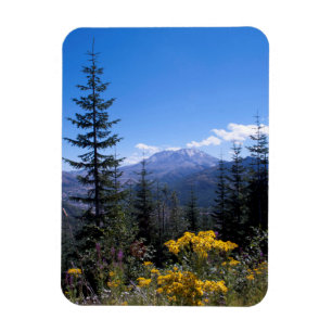 Der Mount Saint Helens Magnet